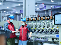 Key Raw Material Assurance, Core Process Technologies, and Process Capabilities